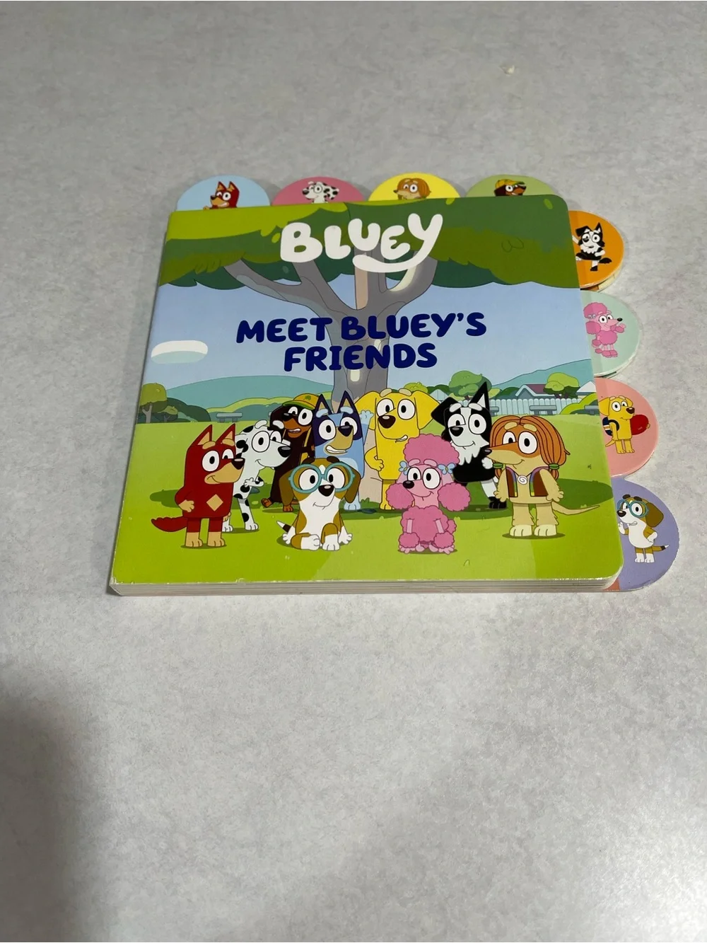 Meet ’s Friends Board Book - Multicolor